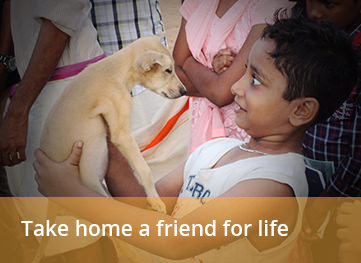 People for Animals - Trivandrum